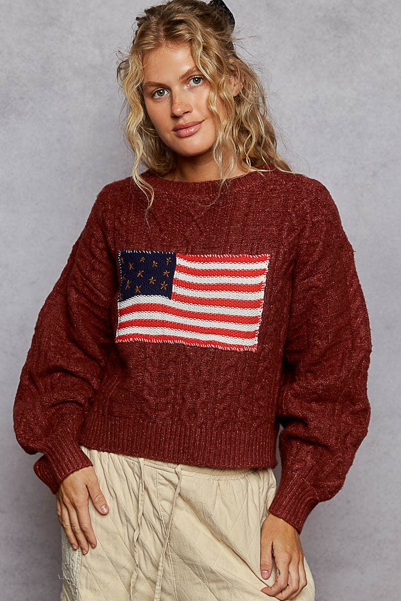 Long sleeve USA flag contrast stitch detail sweater knit top